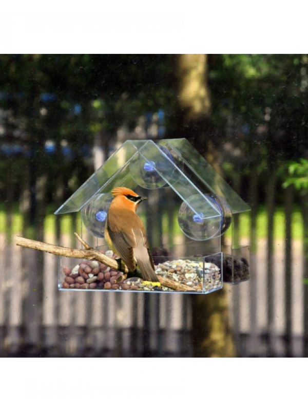 Window Bird Feeder with Suction